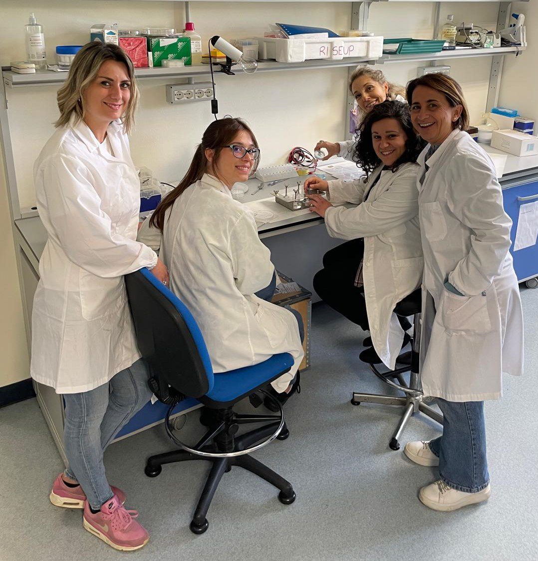 The ENEA team actively engaged in the project, collaborating on cutting-edge research and technological innovations.