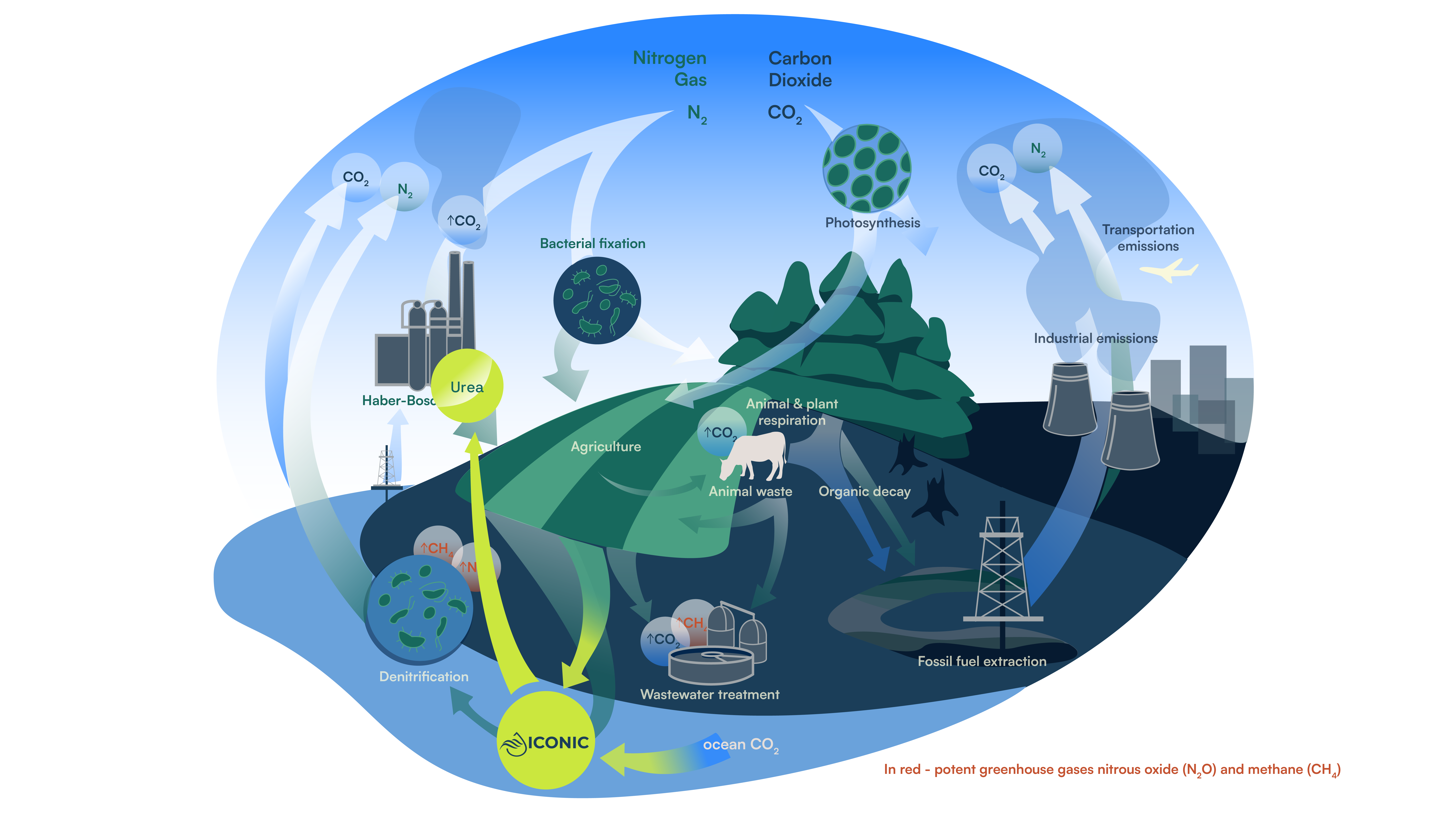 Illustration of concept graphic about the project's added value 