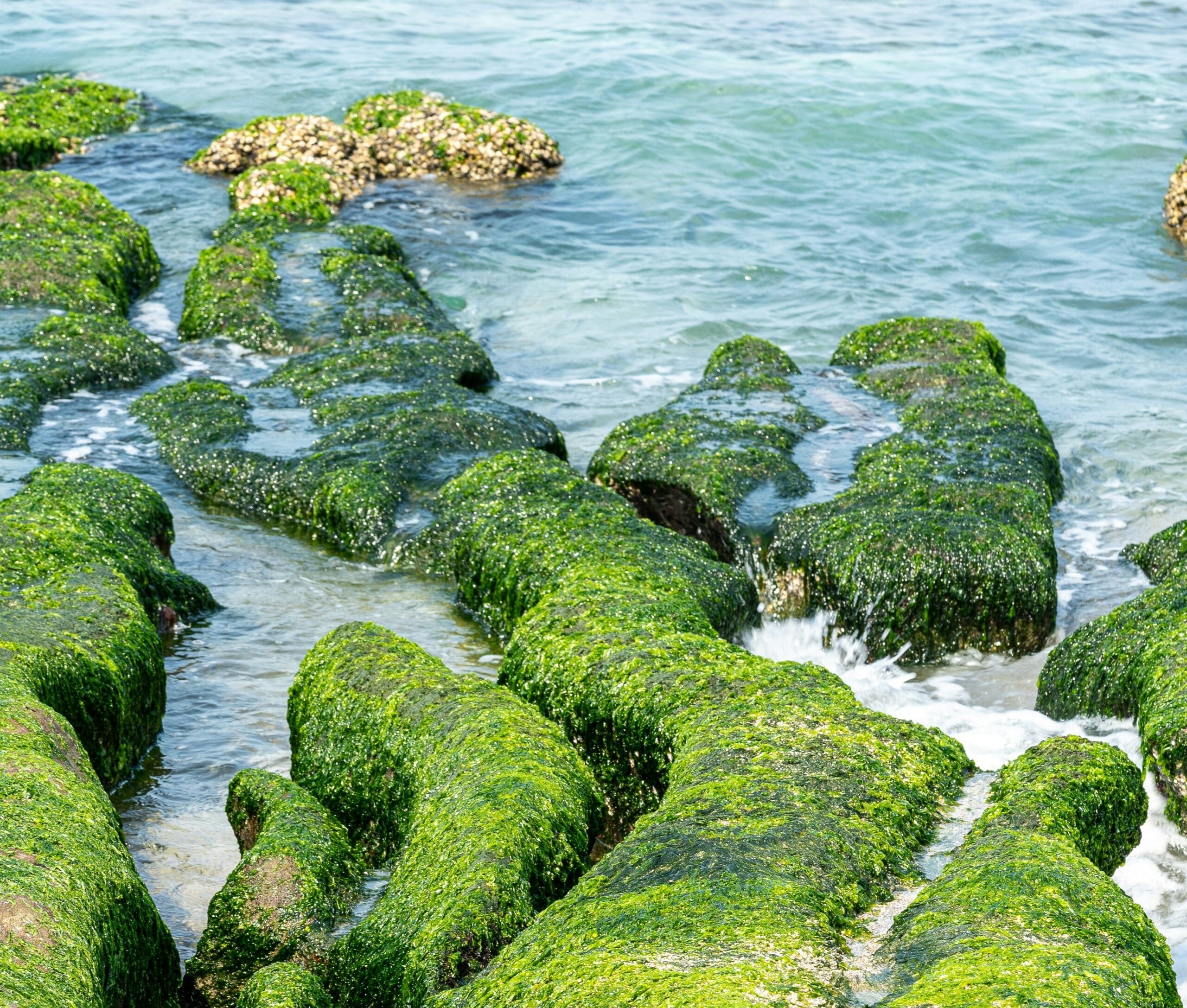 Laomei, Shimen District, New Taipei City, Taiwan 253. Photo by Winston Chen on Unsplash