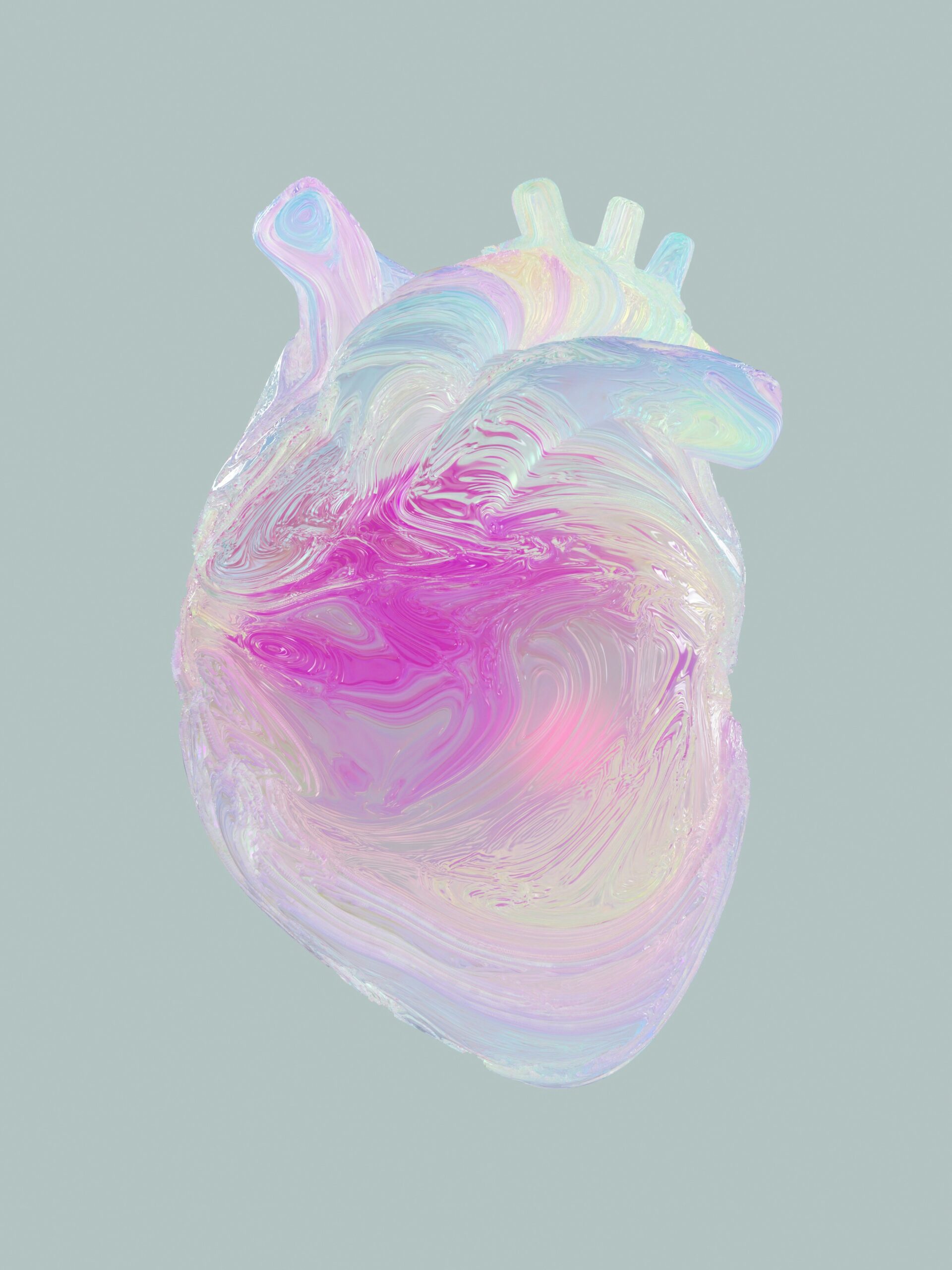 Illustration of a human heart in transparent colors, showing internal anatomy and blood vessels.