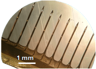 Array with the scale bar.