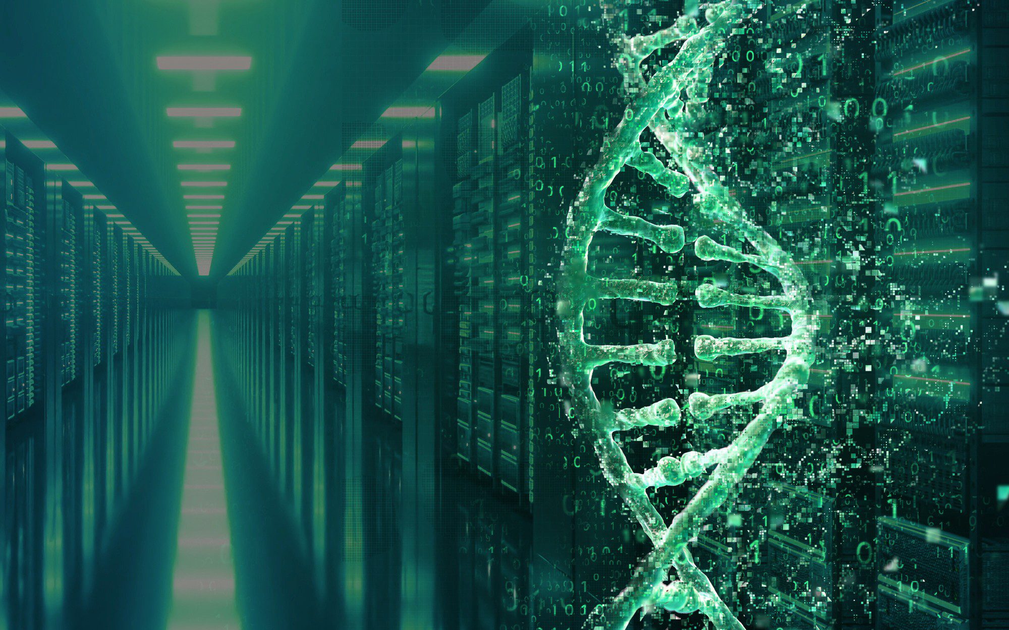 Computomics uses AI to speed up genomic insights and power smarter agricultural solutions